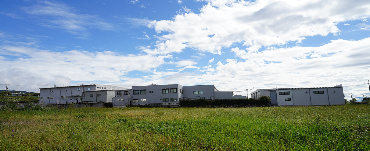 Corporate management policy